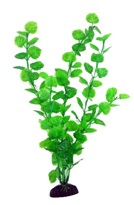 Рослина середня, 20см