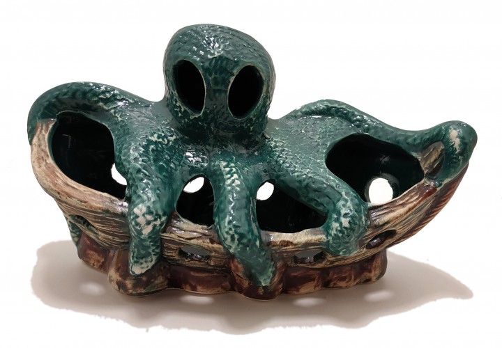 Корабель середній з восьминогом колір