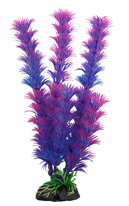 Рослина пласт, 30см