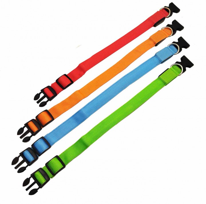 ЛЕД нашийник в асортименті S