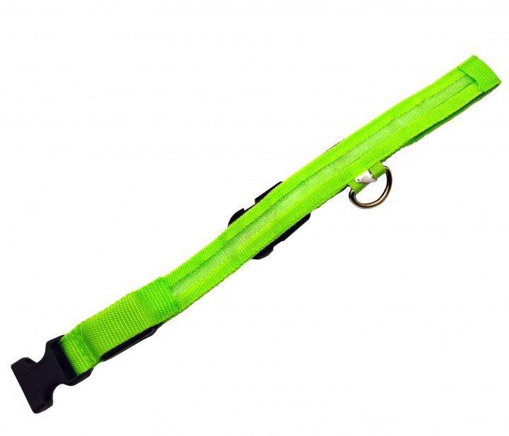 LED нашийник, M