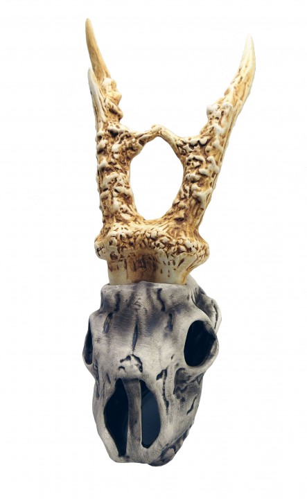 Череп з рогами