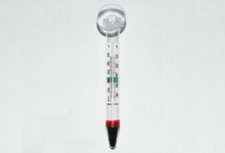 Термометр з присоскою