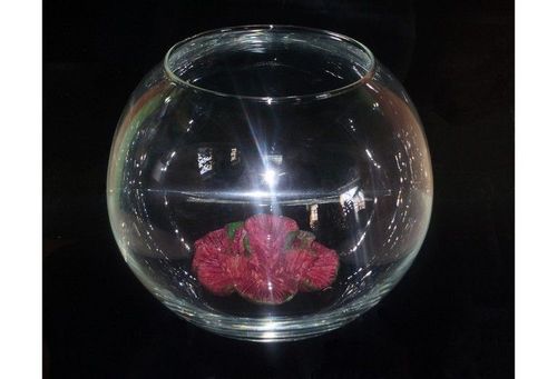 Акваріум куля, 8 л