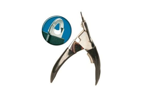 Кігтеріз поперечний