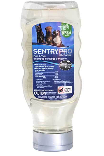 Шампунь SENTRY імбир від бліх і кліщів для собак, 532мл