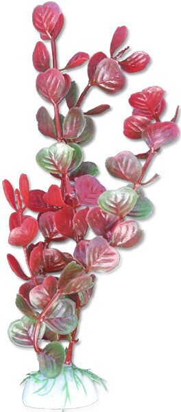 Фото1.Рослина HapPet, 20см (блістер)