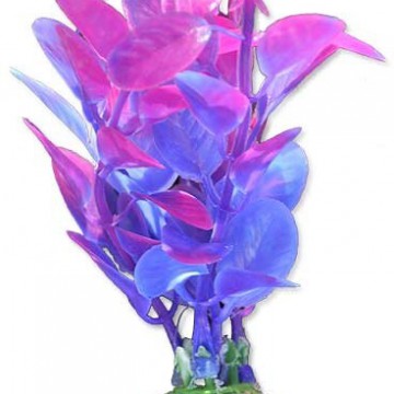 Фото1.Рослина HapPet, 10см (блістер)