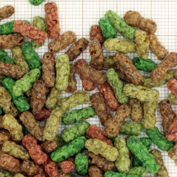 Фото1.JBL корм для ставкових риб М, 5.8 кг