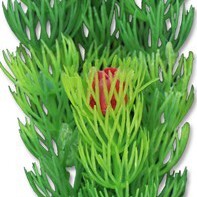 Фото2.Рослина HapPet, 20см (блістер)