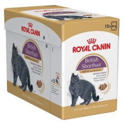 Фото1.ПАУЧ  Royal Canin British Shorthair Adult 85 г