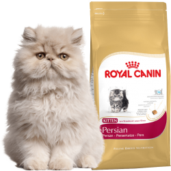 Фото1.Royal Canin Kitten Persian 32 400г